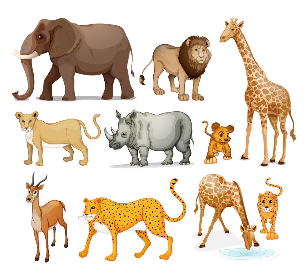動物對人類最想說哪三句話？看深圳刑辯律師王平聚律師如何為動物代言！