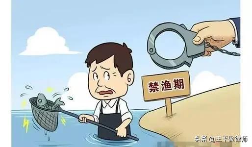 四川農民在自家承包河流里捕魚犯“非法捕撈罪”，此判決合法嗎？ ?